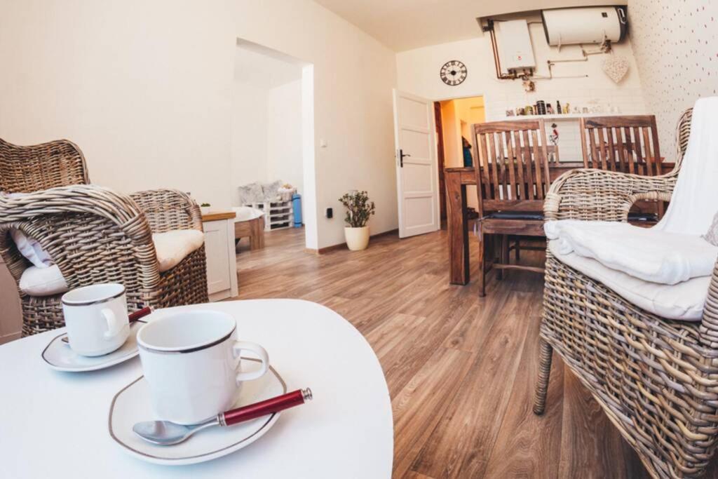 Stylovy Apartman V Centru Nachoda Экстерьер фото